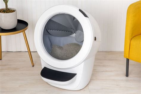best robot litter box